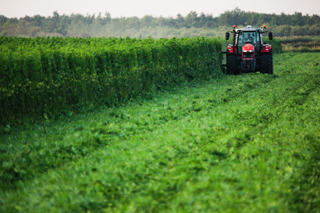 IndiTherm Hemp Insulation Batt